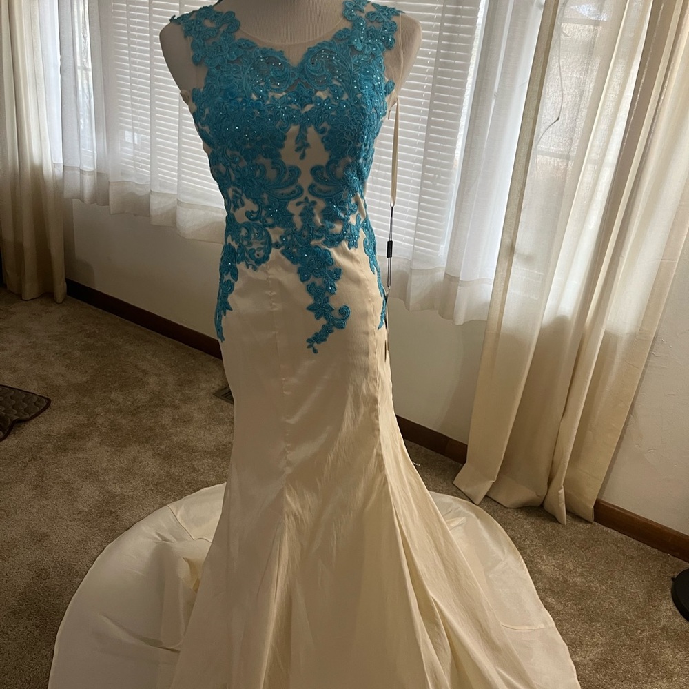 Elegant Cream and Blue Lace Gown